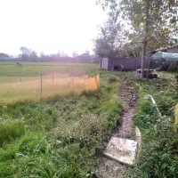 ۵هزارمترزمین کشاورزی سنتی باجاده ۶متری