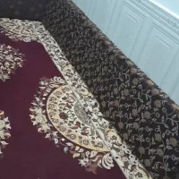 پشتی درحد نوو