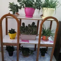 قفسه|کتابخانه، شلف، قفسه‌های دیواری|مشهد, سرافرازان|دیوار