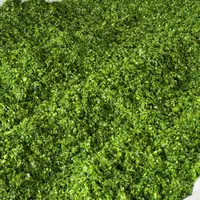 پخش بزرگ سبزی کرج|خوردنی و آشامیدنی|کرج, آق تپه|دیوار