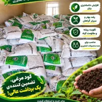 شماره