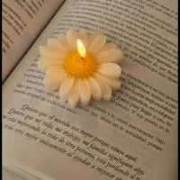 ساخت انواع شمع تزئینی|صنایع دستی و سایر لوازم تزئینی|بهبهان, |دیوار