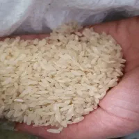 برنج کامفیروز اصلی