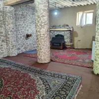 تور تفریحی وبوم گردی|تور و چارتر|شیراز, سعدیه شمالی|دیوار