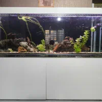 فروش آکواریوم ۲ متری با لوازم و ماهی زینتی