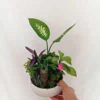 طبیعت در خانه شما