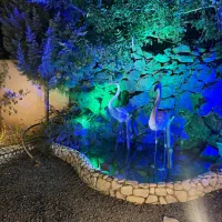 اجاره ی سوییت ب صورت پاره وقت|اجارهٔ کوتاهمدت آپارتمان و سوئیت|کوهسار (البرز), |دیوار