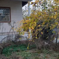 ویلاباغ۳۰۰متری شکاری املاک مهدی/|فروش خانه و ویلا|خشکبیجار, |دیوار