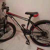 دوچرخه