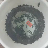 زالو طبی و آرایشی|خزنده|تهران, بهمن یار|دیوار