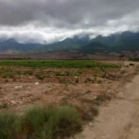 ملک در زمین باغی|فروش دفتر صنعتی، کشاورزی، تجاری|کیاسر, |دیوار