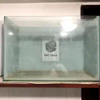 اکواریم شیشه ۶ میل