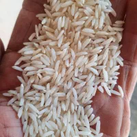 برنج هاشمی عطری نیمدانه وسرلاشه بدون قاطی