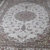 قالی و پشتی|فرش|مریوان, |دیوار