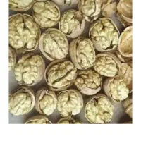 پنیرگاوی و پنیر کوزه ای|خوردنی و آشامیدنی|خرمدره, |دیوار