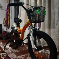 درحدنودیسکدارودوکمکه ژاپنی  16قناری باسندرسمی