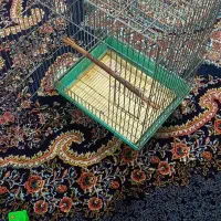 قفس بزرگ زخیم طوطی مینا برزیلی انواع پرندگان|لوازم جانبی حیوانات|هشتگرد, شهرک بوستان|دیوار