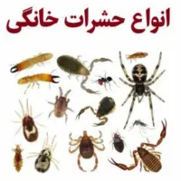 سمپاشی*موریانه زدایی*سم پاشی حشرات/کل خوزستان|خدمات نظافت|اهواز, پادادشهر|دیوار