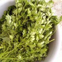 شلغم شیرین کسی خواست تماس بگیره