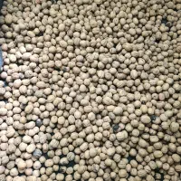 گردو،خرما آجیلی،خرما برحی،تازه