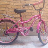 دوچرخه ۲۰ دوخترونه