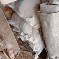 سبوس گندم وتفاله خشک