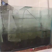 اکواریوم با تمام وسایل