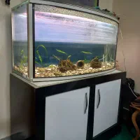 آکواریوم شیشه خم با میز و کلیه وسایل