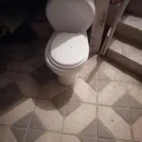 توالت فرنکی