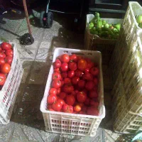 میوه