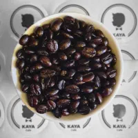 پخش قهوه کایا فروش تخصصی عمده دان قهوه پودریجات