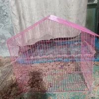 دوعددقفس پرنده. مرغ عشق قناری یاطوطی|لوازم جانبی حیوانات|بم, |دیوار