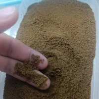 ماهی گوپی فقط 10|ماهی|تهران, علی‌آباد|دیوار