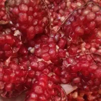 فروش انار ربی ترک همراه با انارهای ریز سالم|خوردنی و آشامیدنی|رشت, معلولین|دیوار