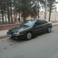 زانتیا 83 دورنگ درجه یک