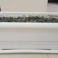 گلدان بزرگ|گل و گیاه طبیعی|محمدشهر, ولدآباد|دیوار