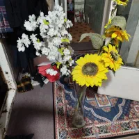 فروش گلدان و گل|گل و گیاه طبیعی|اصفهان, لاله|دیوار