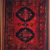 فرش شاهان برتر/مدل پاتریس12.9.6متری|فرش|شیراز, لاله|دیوار