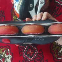 اسکیت|دوچرخه، اسکیت، اسکوتر|گرگان, |دیوار