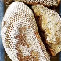 عسل وحشی کاملا طبیعی از کوههای لرستان