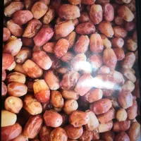 خرمای زاهدی جنوب فقط کیلو۱۲۰هزار