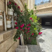 زمین-دونبش-البرز3-شهر-صدرا