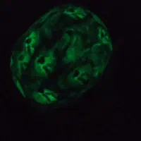 گوهر شب چراغ شب تا صبح روشنه