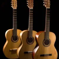 انواع گیتار اموزشی تا حرفه ایی