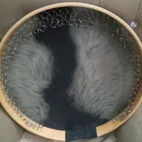 دف مجنون نوجوان