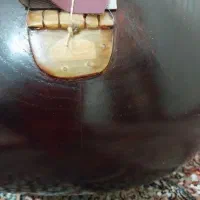 تار سنتی|سازهای سنتی|نهاوند, |دیوار