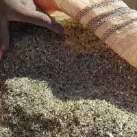 کاه آفتابگردان کاه کوب
