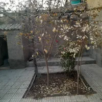 اجاره و فروش کارگاه در  صوفیان|اجارهٔ دفتر صنعتی، کشاورزی، تجاری|صوفیان, |دیوار