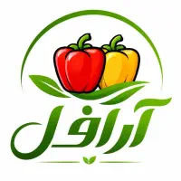 نیروی کار خانم