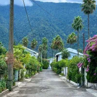 ویلا دوبلکس سند تک برگ با ویوی ابدی|فروش خانه و ویلا|رویان, |دیوار